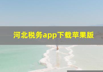 河北税务app下载苹果版