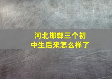 河北邯郸三个初中生后来怎么样了