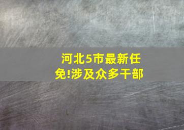 河北5市最新任免!涉及众多干部