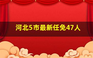 河北5市最新任免47人