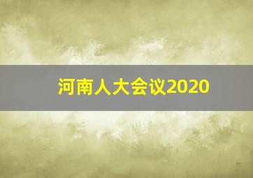 河南人大会议2020