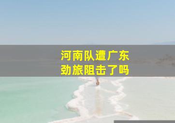 河南队遭广东劲旅阻击了吗