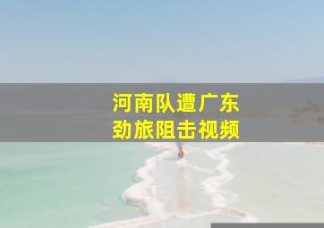 河南队遭广东劲旅阻击视频