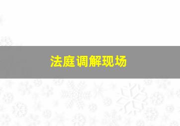 法庭调解现场