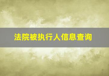 法院被执行人信息查询