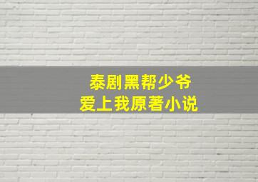 泰剧黑帮少爷爱上我原著小说