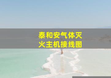 泰和安气体灭火主机接线图