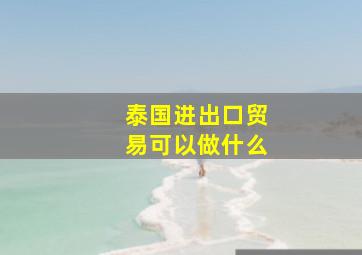 泰国进出口贸易可以做什么