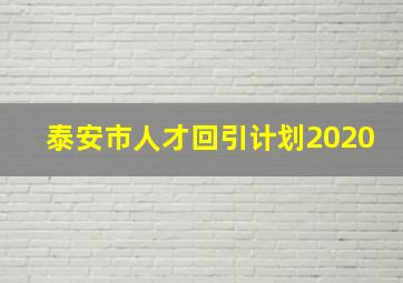 泰安市人才回引计划2020