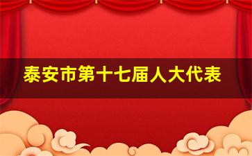 泰安市第十七届人大代表