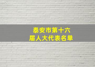 泰安市第十六届人大代表名单