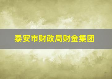 泰安市财政局财金集团