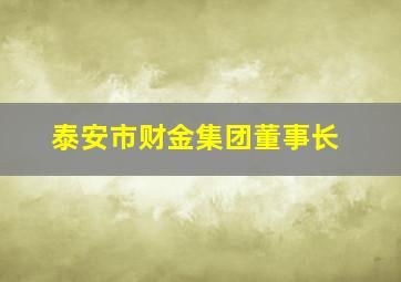 泰安市财金集团董事长