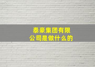 泰豪集团有限公司是做什么的