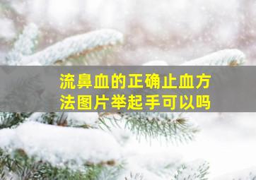 流鼻血的正确止血方法图片举起手可以吗