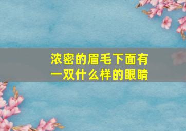 浓密的眉毛下面有一双什么样的眼睛