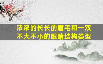 浓浓的长长的眉毛和一双不大不小的眼睛结构类型