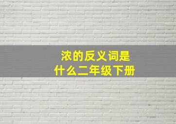 浓的反义词是什么二年级下册