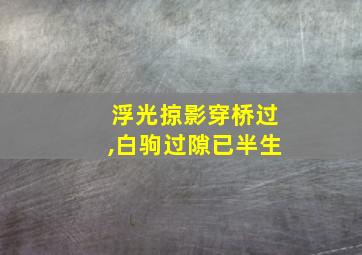 浮光掠影穿桥过,白驹过隙已半生