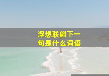 浮想联翩下一句是什么词语