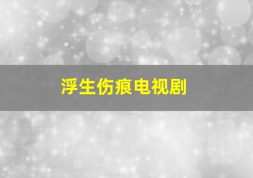 浮生伤痕电视剧