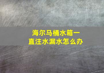 海尔马桶水箱一直注水漏水怎么办