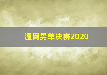 温网男单决赛2020