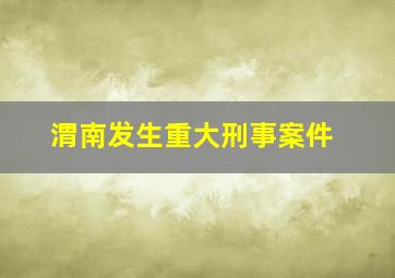 渭南发生重大刑事案件