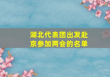 湖北代表团出发赴京参加两会的名单