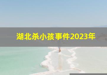 湖北杀小孩事件2023年