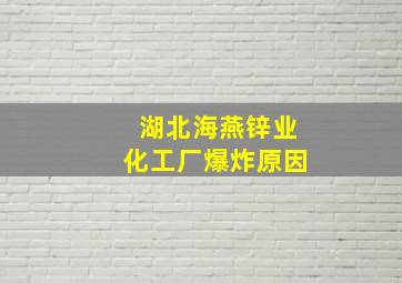 湖北海燕锌业化工厂爆炸原因