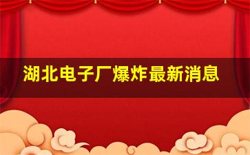 湖北电子厂爆炸最新消息