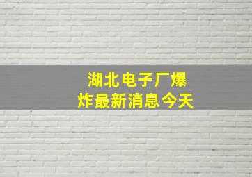 湖北电子厂爆炸最新消息今天