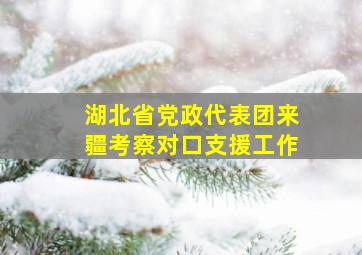 湖北省党政代表团来疆考察对口支援工作