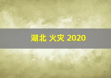 湖北 火灾 2020