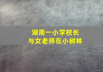 湖南一小学校长与女老师在小树林