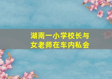 湖南一小学校长与女老师在车内私会