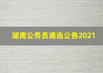 湖南公务员遴选公告2021