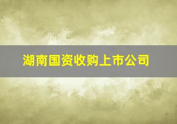 湖南国资收购上市公司