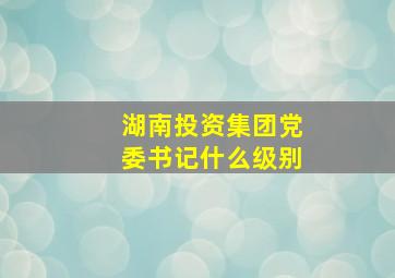 湖南投资集团党委书记什么级别