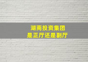 湖南投资集团是正厅还是副厅