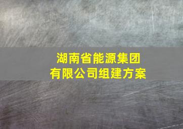 湖南省能源集团有限公司组建方案