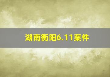 湖南衡阳6.11案件