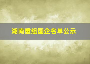 湖南重组国企名单公示