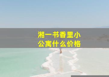 湘一书香里小公寓什么价格