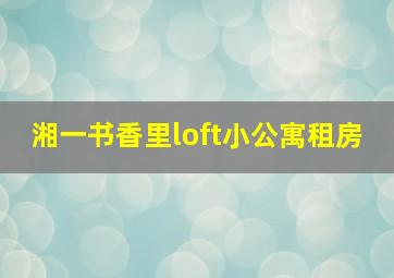 湘一书香里loft小公寓租房