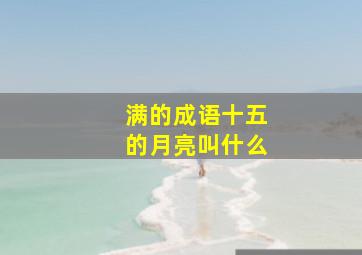 满的成语十五的月亮叫什么