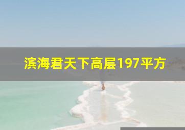 滨海君天下高层197平方