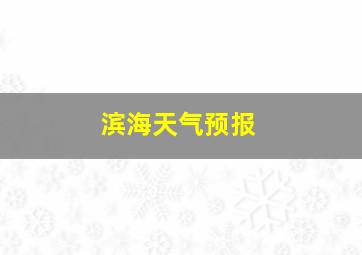 滨海天气预报