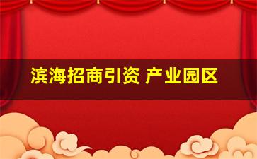 滨海招商引资 产业园区